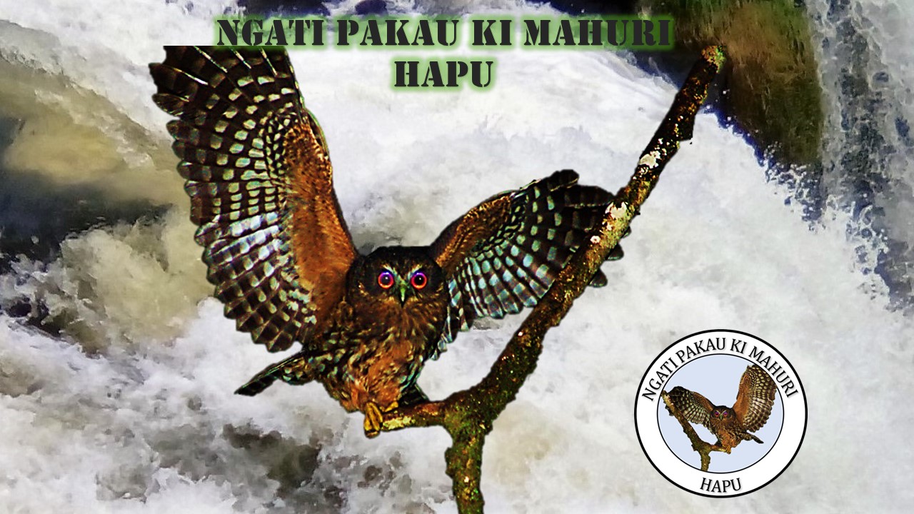 Ngati Paku Ki Mahuri