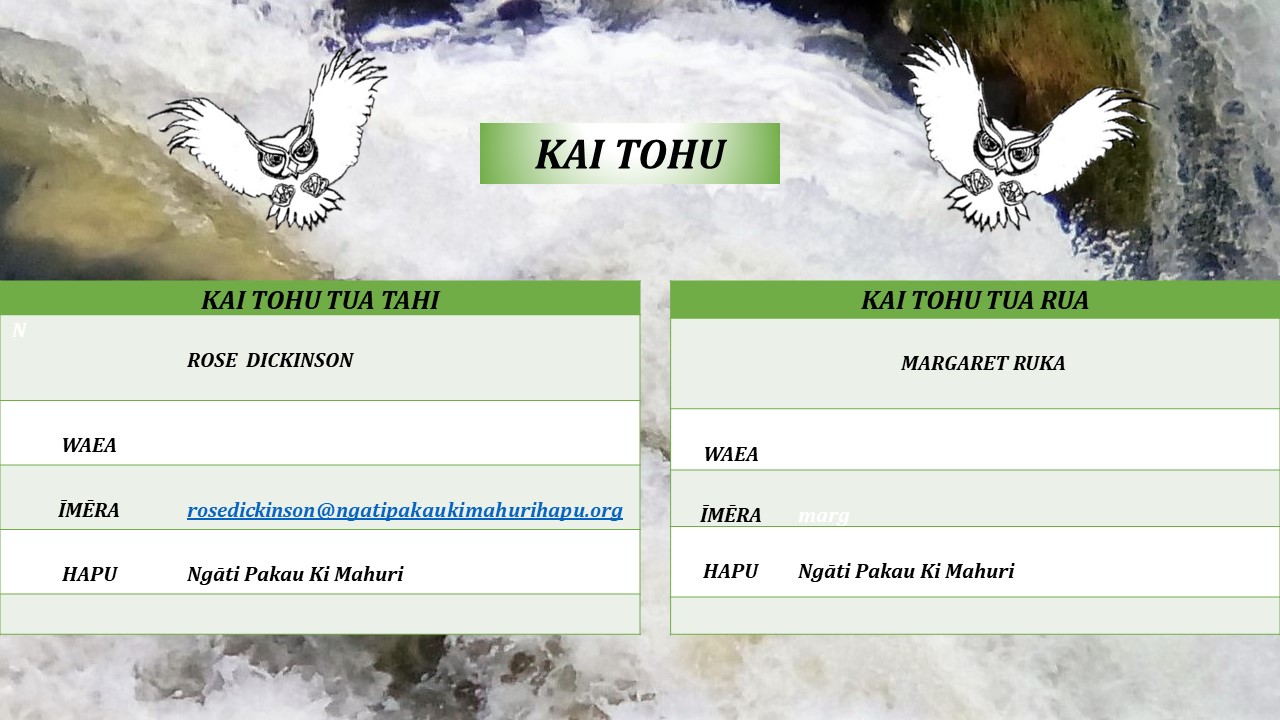 Ngati Paku Ki Mahuri